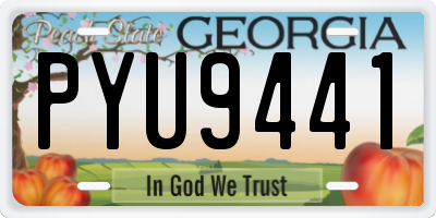 GA license plate PYU9441