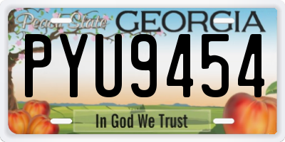 GA license plate PYU9454