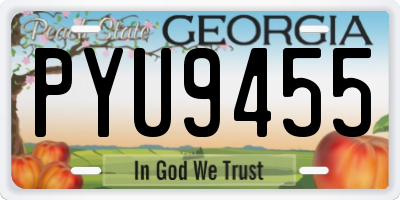 GA license plate PYU9455