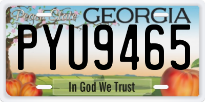GA license plate PYU9465
