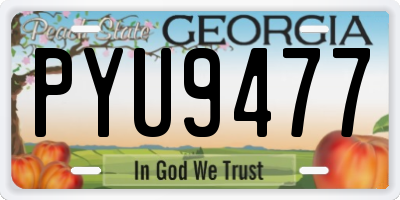 GA license plate PYU9477