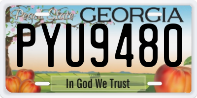 GA license plate PYU9480