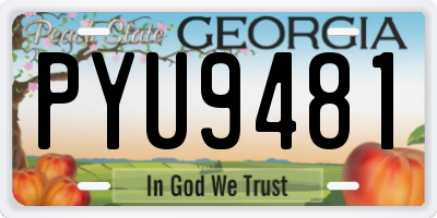 GA license plate PYU9481