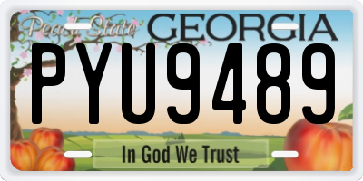 GA license plate PYU9489