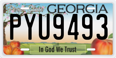 GA license plate PYU9493