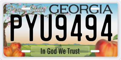 GA license plate PYU9494