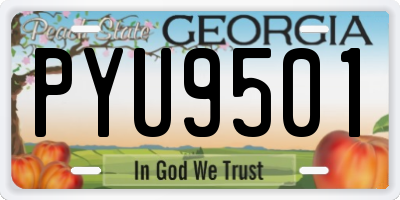 GA license plate PYU9501