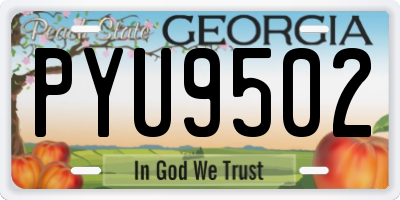GA license plate PYU9502