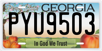 GA license plate PYU9503