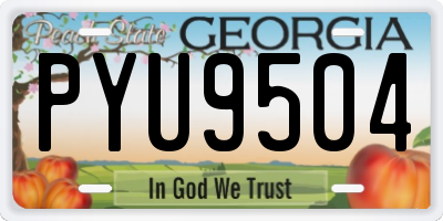 GA license plate PYU9504