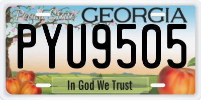GA license plate PYU9505