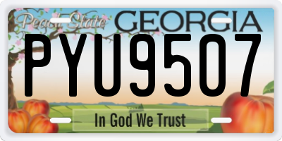 GA license plate PYU9507