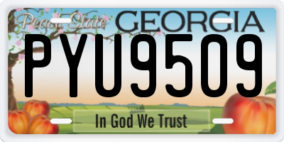 GA license plate PYU9509