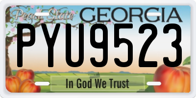 GA license plate PYU9523