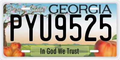 GA license plate PYU9525