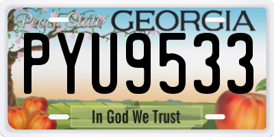 GA license plate PYU9533