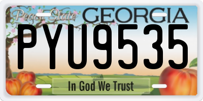 GA license plate PYU9535