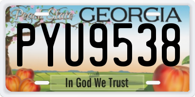 GA license plate PYU9538