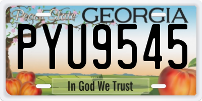 GA license plate PYU9545