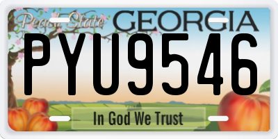 GA license plate PYU9546