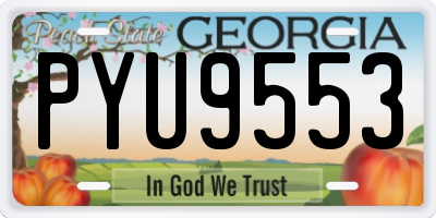 GA license plate PYU9553