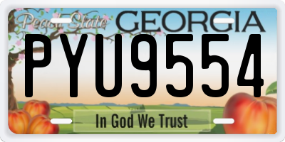 GA license plate PYU9554