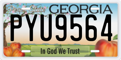 GA license plate PYU9564