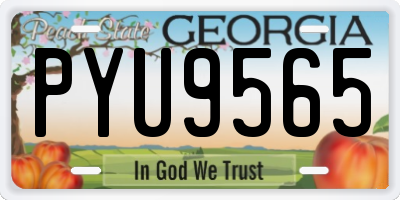 GA license plate PYU9565