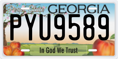 GA license plate PYU9589
