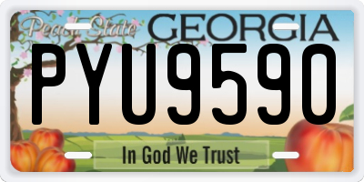 GA license plate PYU9590