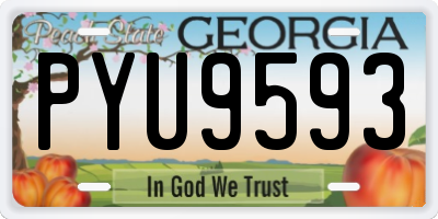 GA license plate PYU9593