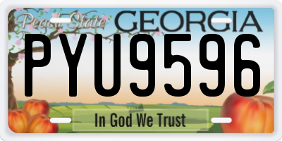 GA license plate PYU9596
