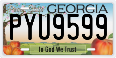 GA license plate PYU9599