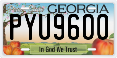 GA license plate PYU9600