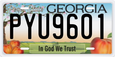 GA license plate PYU9601
