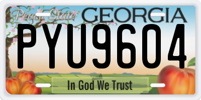 GA license plate PYU9604