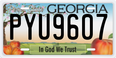 GA license plate PYU9607