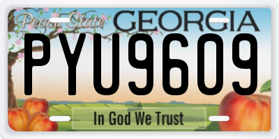 GA license plate PYU9609
