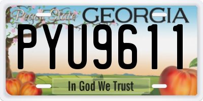 GA license plate PYU9611