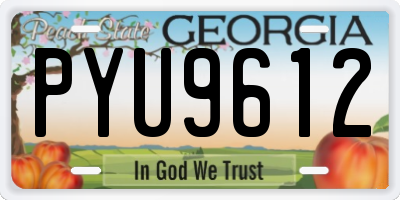 GA license plate PYU9612