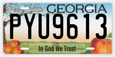 GA license plate PYU9613