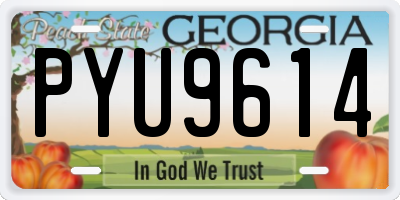 GA license plate PYU9614