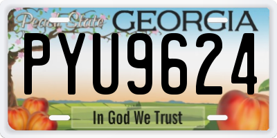 GA license plate PYU9624