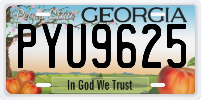 GA license plate PYU9625