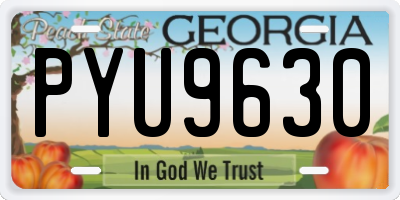 GA license plate PYU9630