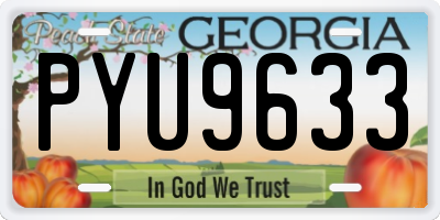 GA license plate PYU9633