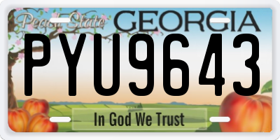 GA license plate PYU9643