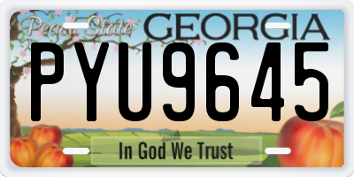 GA license plate PYU9645