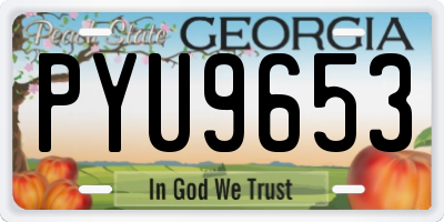GA license plate PYU9653