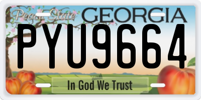 GA license plate PYU9664